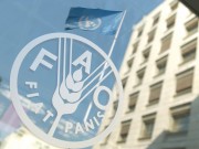 الغذاء العالمي: ربع سكان غزة يواجهون خطر الانزلاق نحو مجاعة حقيقية