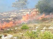 مستوطنون يحرقون أراضي زراعية في ترمسعيا شمال شرق رام الله