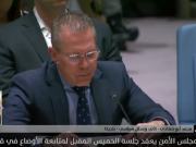 إلى متى تبقى جلسات مجلس الأمن بلا فعل.. والاحتلال بلا رادع؟