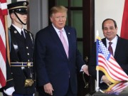 الرئيس المصري يطالب ترامب بـ "وساطة" تُوقف حرب غزة