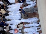 العالم ينتفض ضد جرائم الاحتلال في غزة