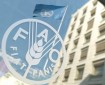 الغذاء العالمي: ربع سكان غزة يواجهون خطر الانزلاق نحو مجاعة حقيقية