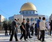 أكثر من 1700 مستوطن يقتحمون المسجد الأقصى في ثالث أيام عيد الفصح اليهودي