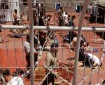 هيئة الأسرى: إهمال طبي متعمد بحق المرضى في سجن "النقب"