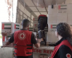 الإمارات تعلن أنها ستدخل مساعدات عاجلة إلى قطاع غزة