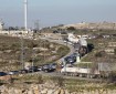 مستوطنون يعرقلون حركة المرور عند مفترق دير بلوط غرب سلفيت