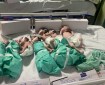 الأطفال الخدج في غزة يواجهون خطر الموت بسبب انهيار القطاع الصحي