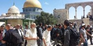 في رابع أيام عيد الفصح اليهودي.. مئات المستوطنين يقتحمون الأقصى ويغلقون الحرم الإبراهيمي