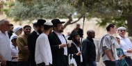مجلس الأوقاف بالقدس يُحذر من تصاعد انتهاكات الاحتلال بالأقصى