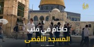 حاخام إسرائيلي في قلب المسجد الأقصى.. إسرائيل تلاحق الفلسطينيين في كل زاوية من القدس