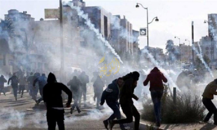 أرشيفية